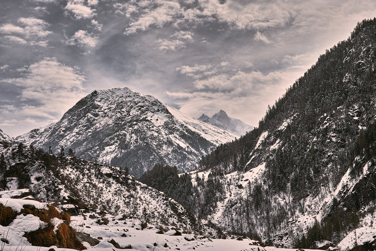 Kalanag peak as seen from Gobind Sagar National Park