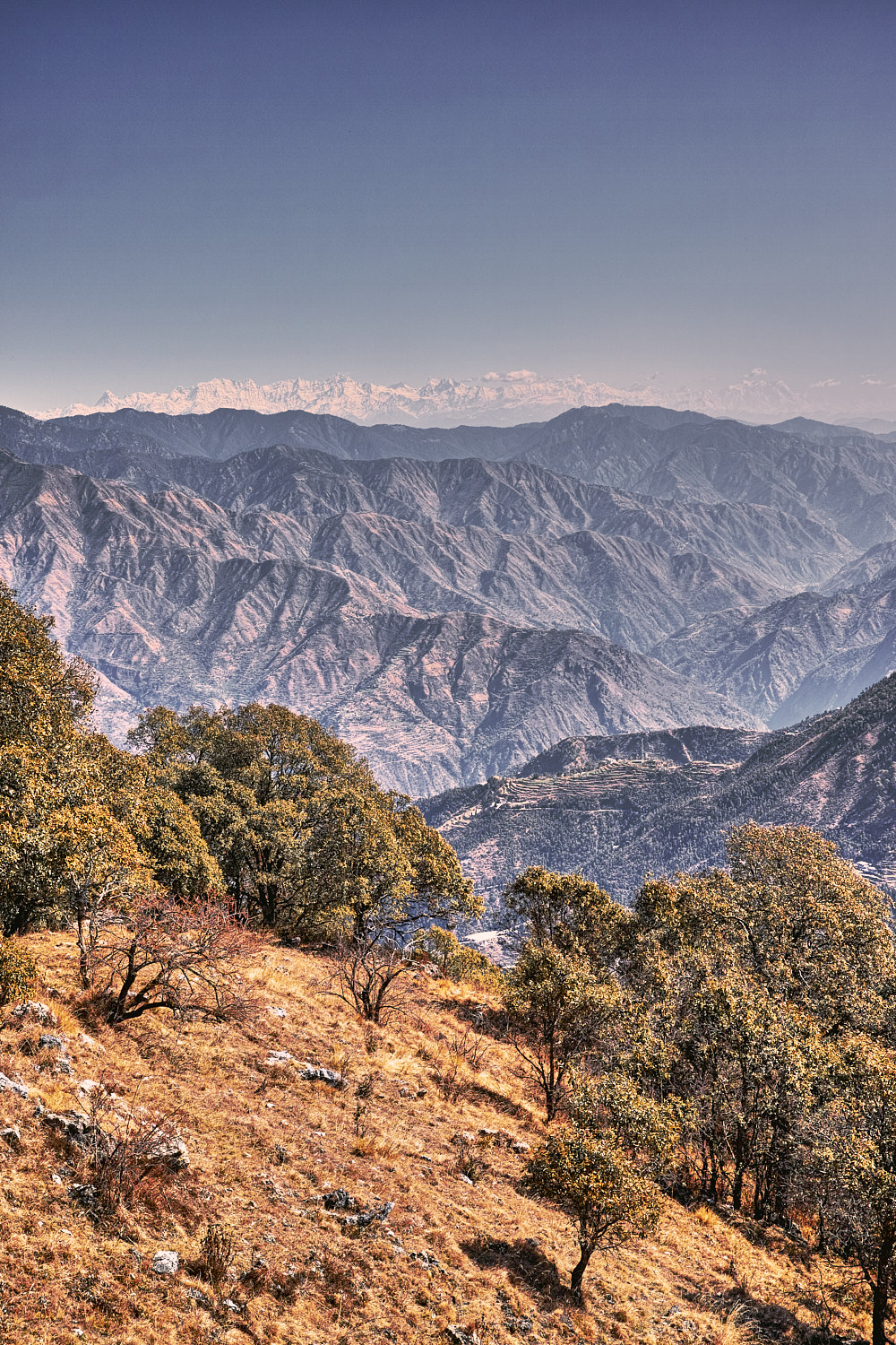 Garhwal Himalays in the north from Benog Hill top