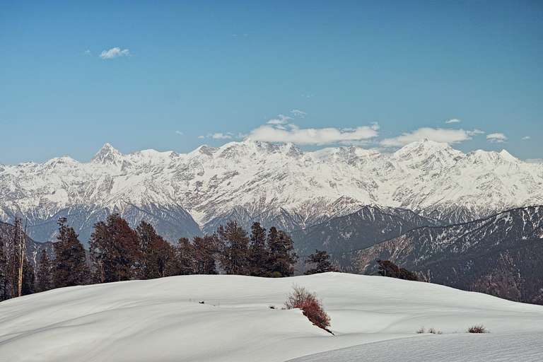 snow field at Dayara Bugyal 