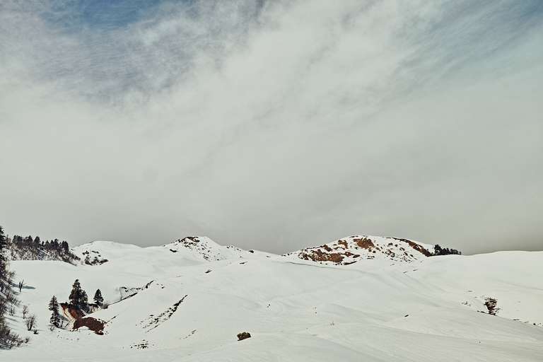 Winter snow at Dayara Bugyal 