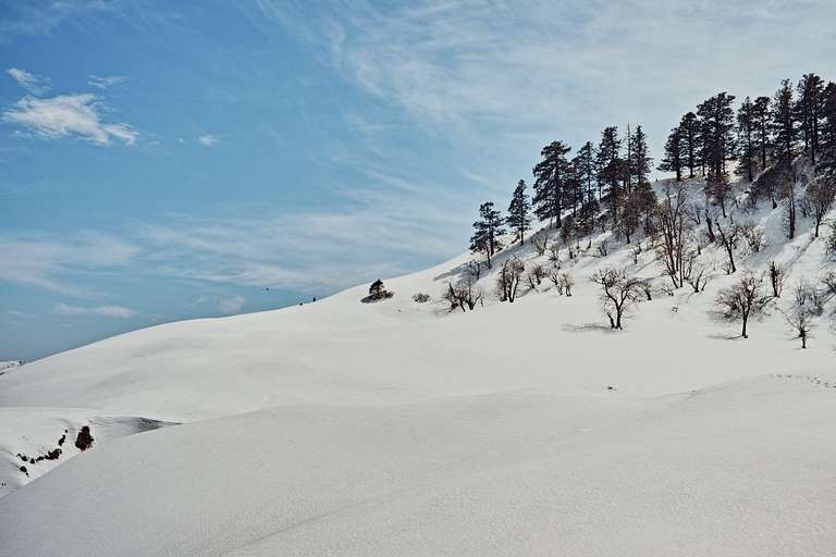 Winter snow at Dayara Bugyal 