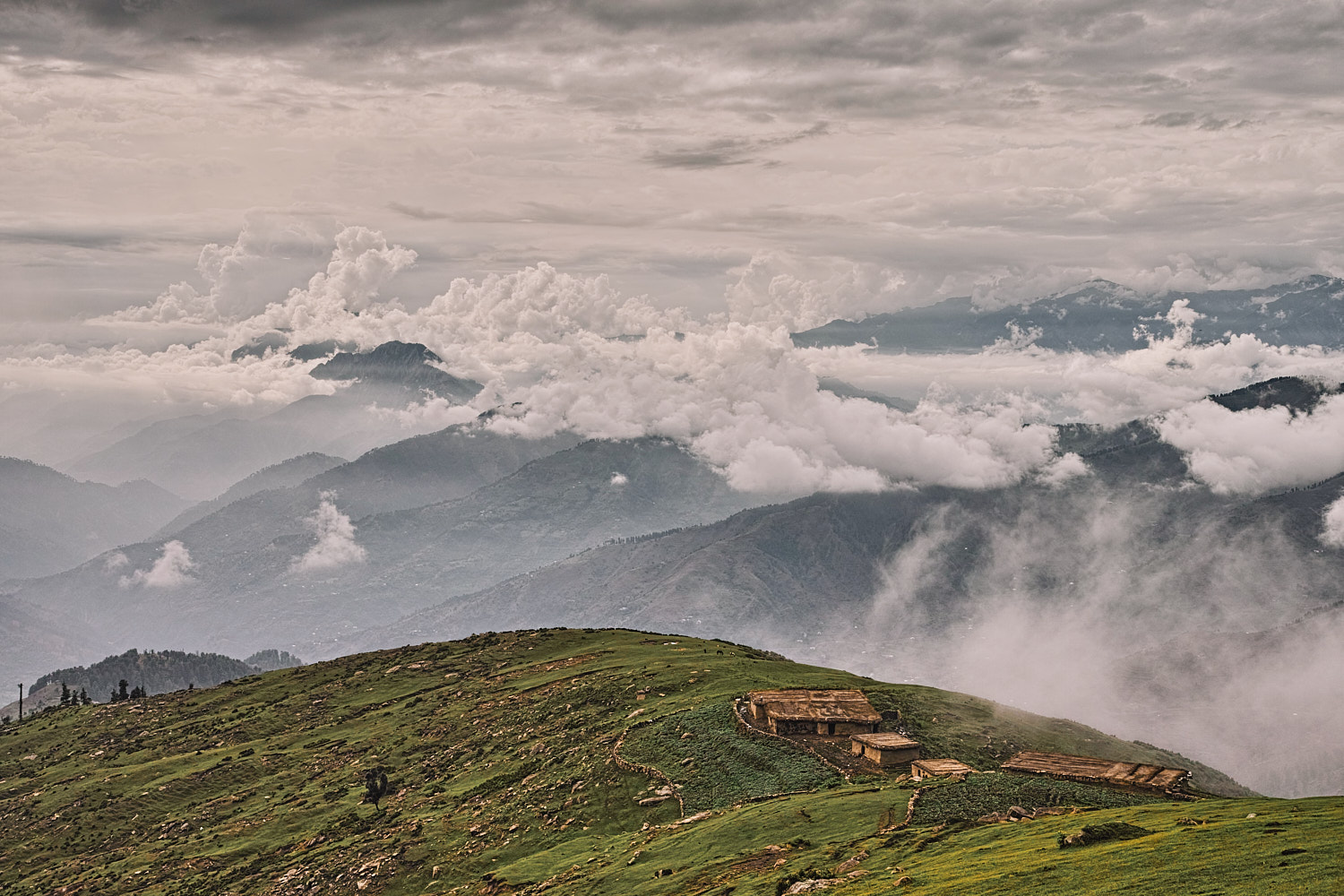 Chorgala meadow near Patnitop (J&K)