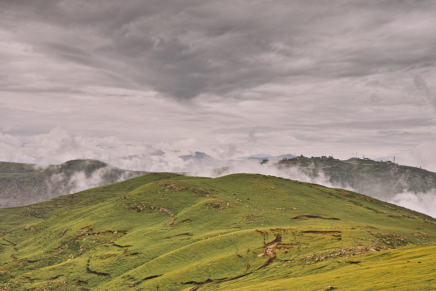 Chorgala ais a lush sea of grass in the monsoon