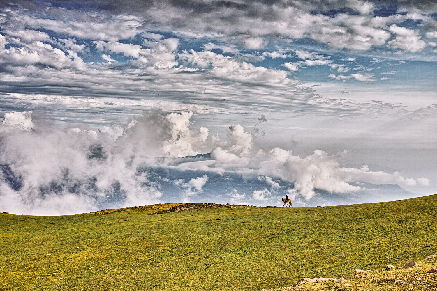 A lone horseman at Chorgala meadow