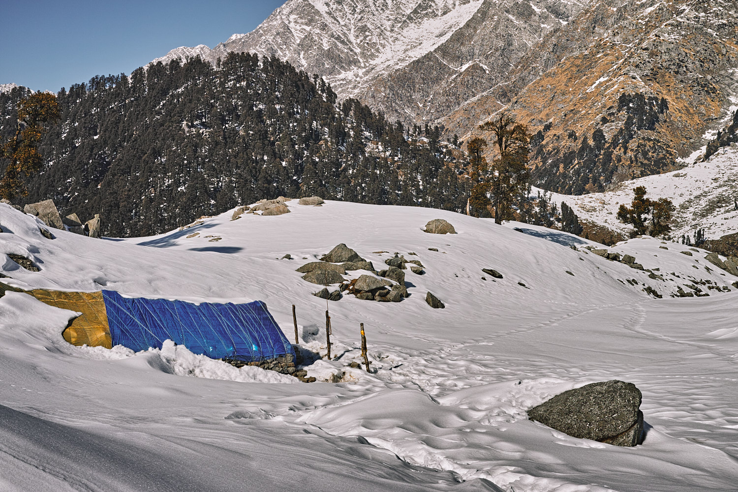 Triund to Snowline Cafe (Himachal Pradesh) winter trek