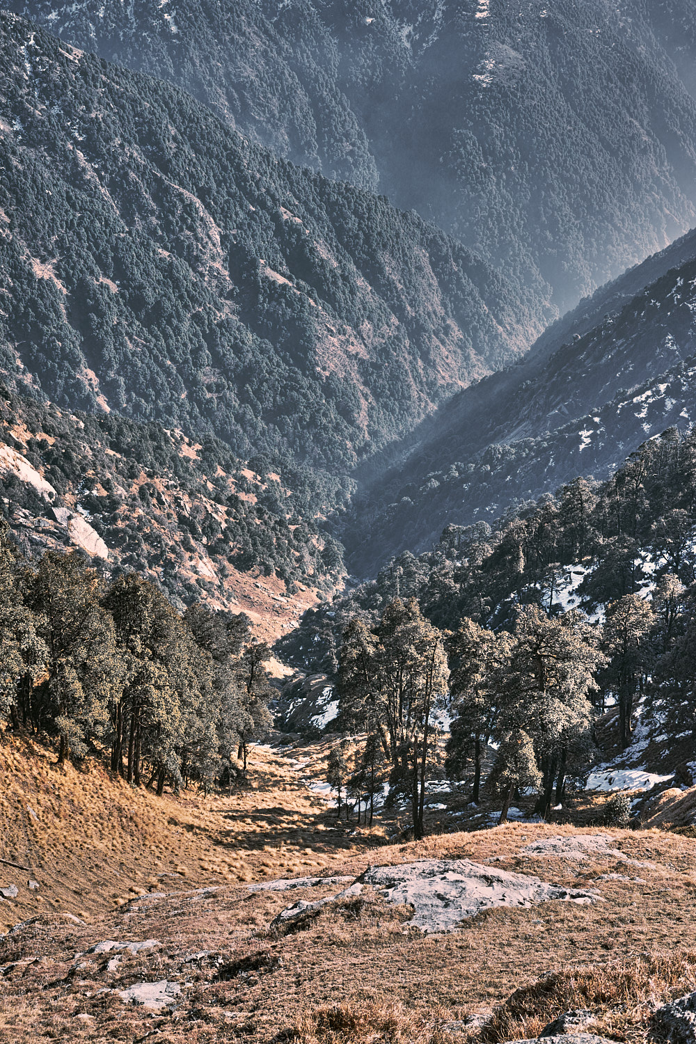 The fall to my right on the trekking trail to Snowline Cafe