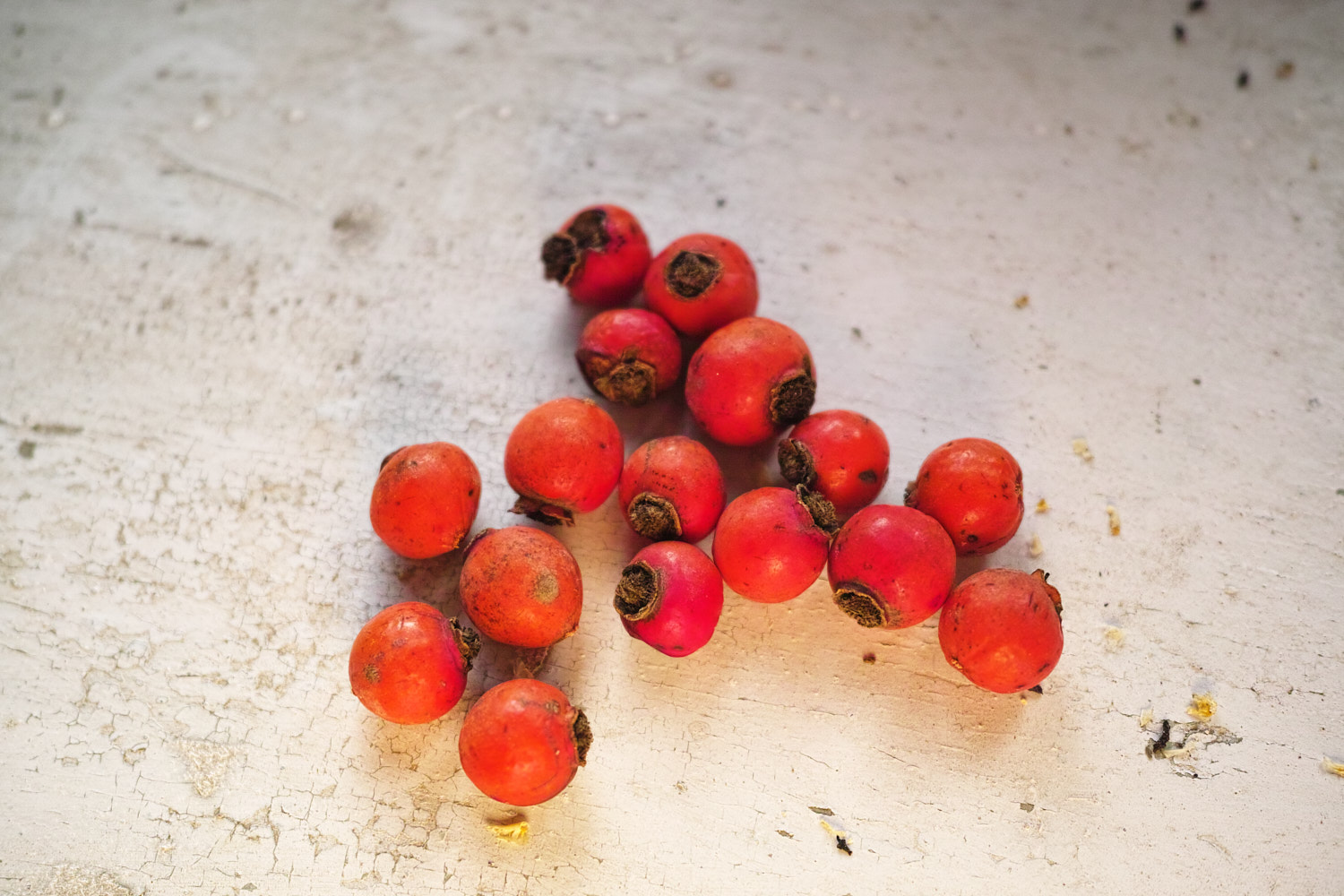 Foraged Himalayan rose hip tea