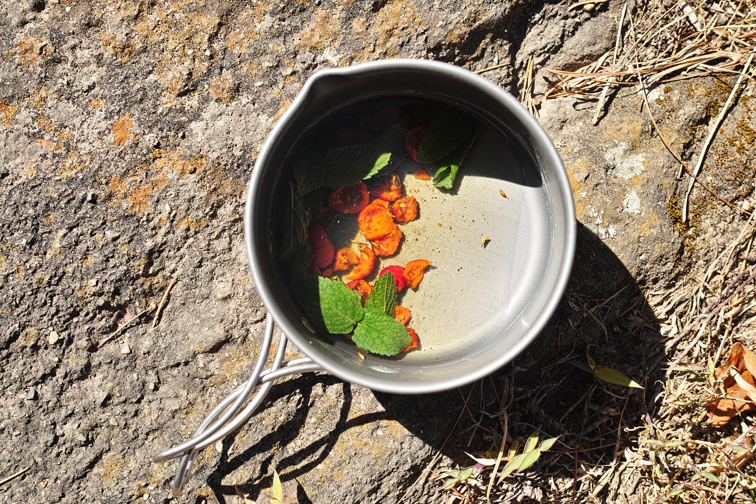 Rose hips with some herbs ready for brewing