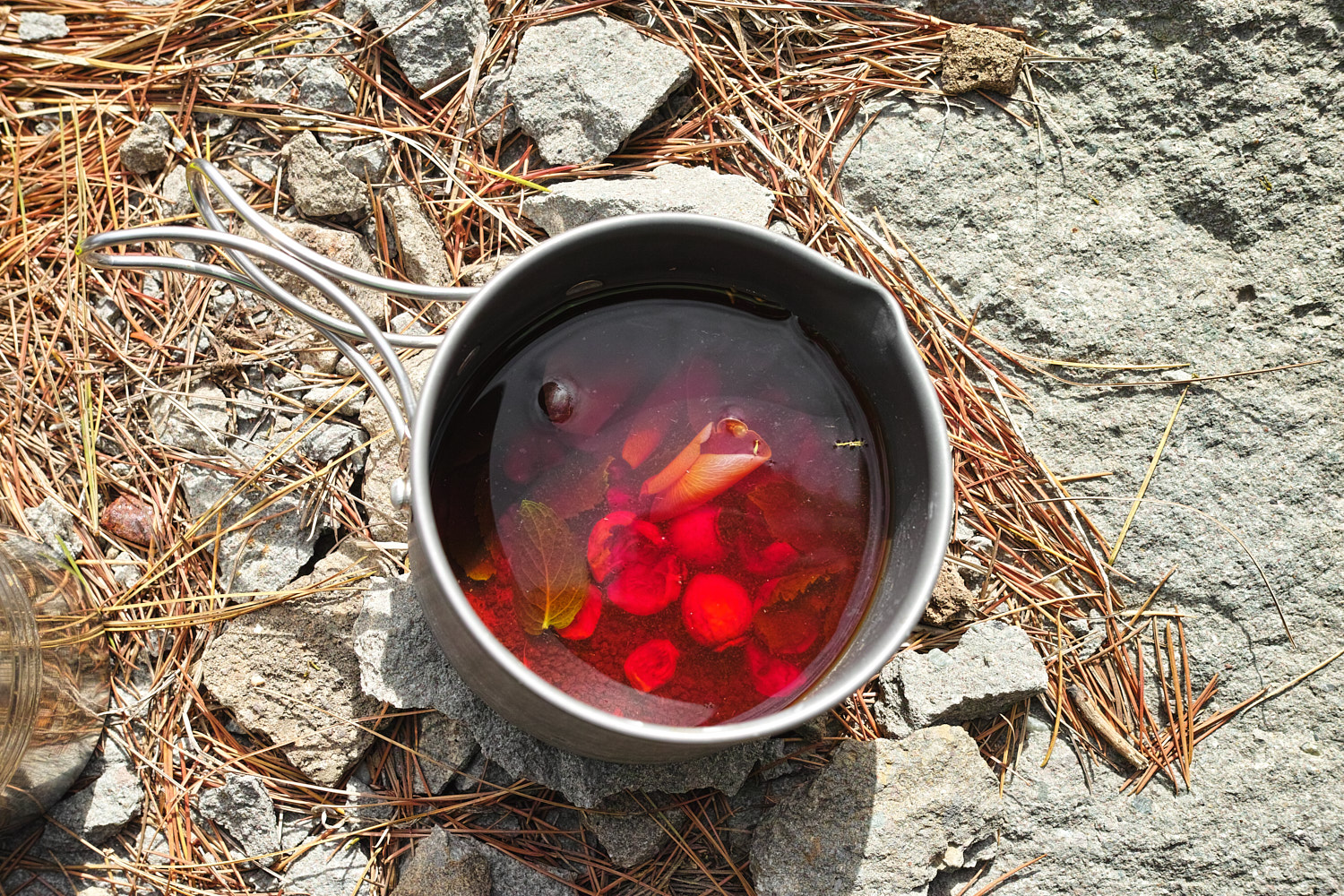 Rose hip tea ready for drinking