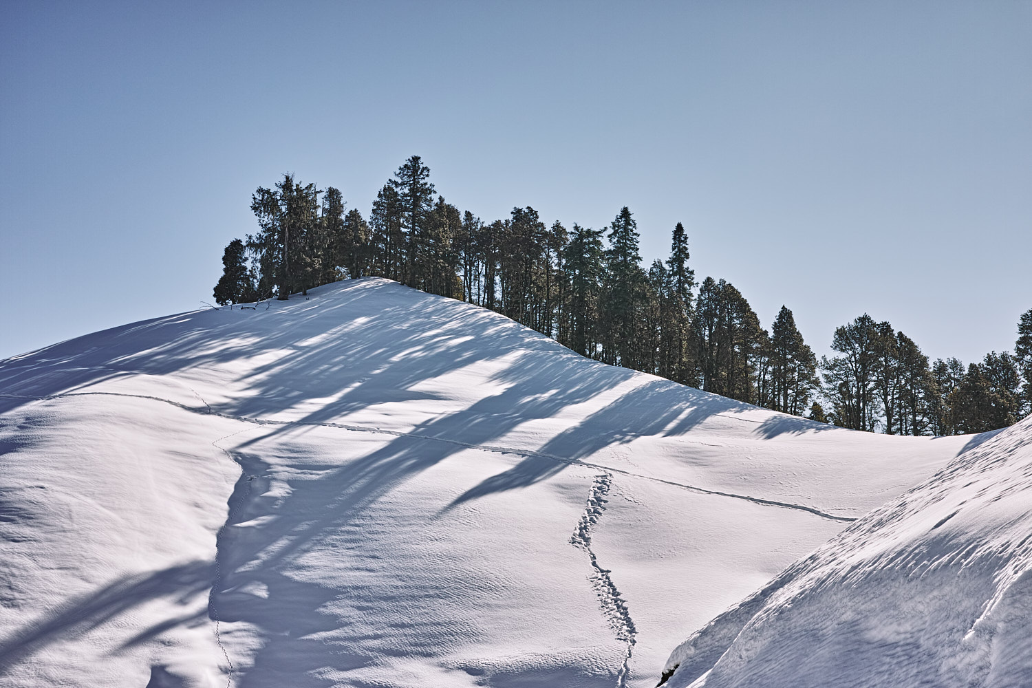 Snow at Shikari Mata temple trek route