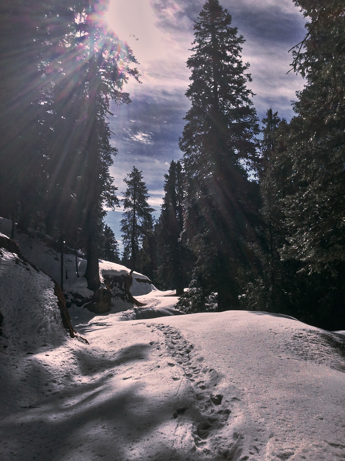 Janjehli to Shikari Mata trek in winter snow