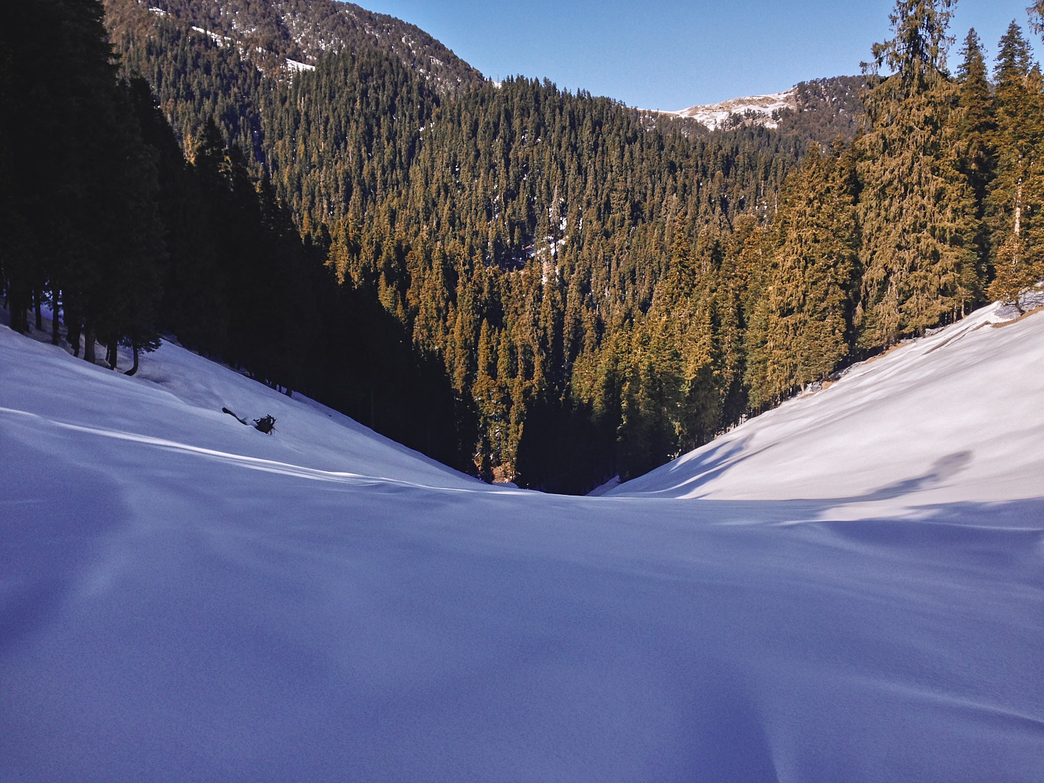 Route to Shikari Devi temple in winters